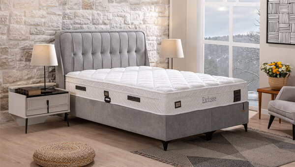 Exclusive Baza-Başlık - 