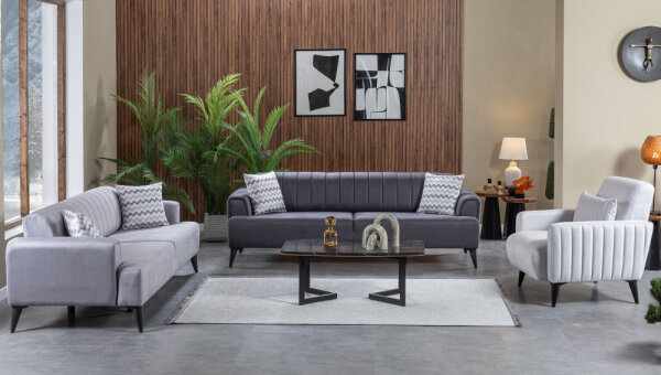 Luster Koltuk Takımı - 