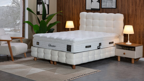 Nuvia Baza-Başlık - 