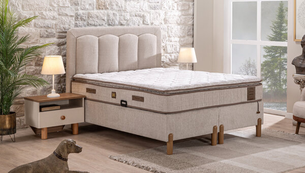 Sofya Baza-Başlık - 